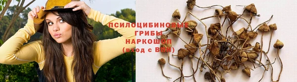 сатива Абдулино