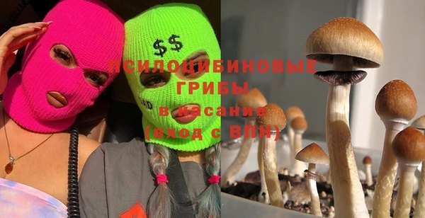 PSILOCYBIN Абаза