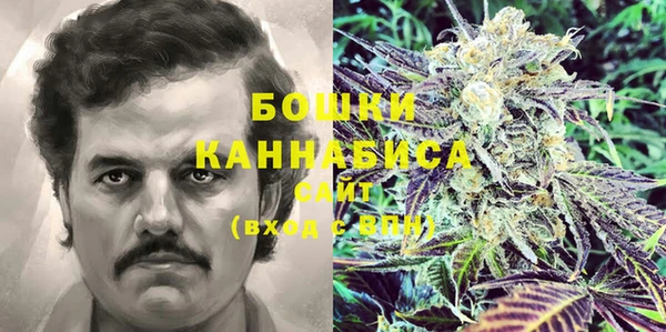 PSILOCYBIN Абаза